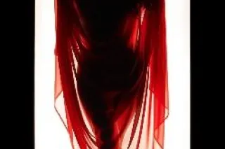 Indulge in the Unattainable--A Mystery Wrapped in Elegance Awaits You🔥✨ - Image 1